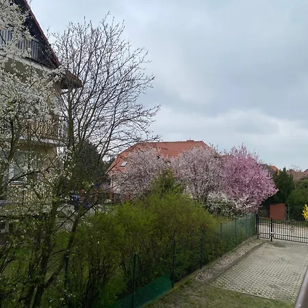 Duzy 51m2! 10 Minut Od Lotniska! *