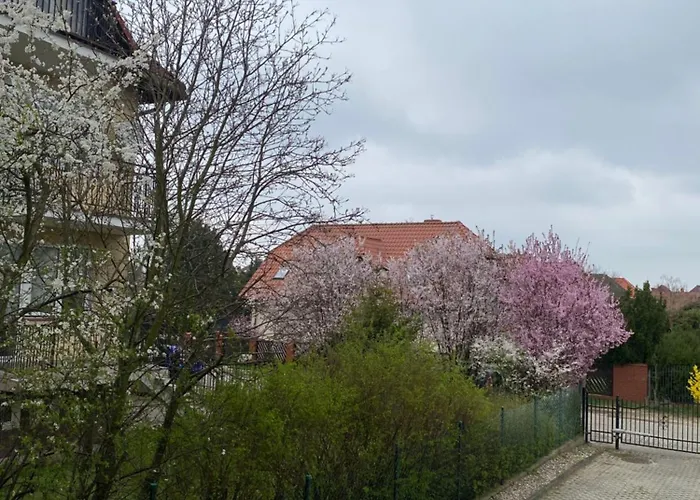 Duzy 51m2! 10 Minut Od Lotniska! *