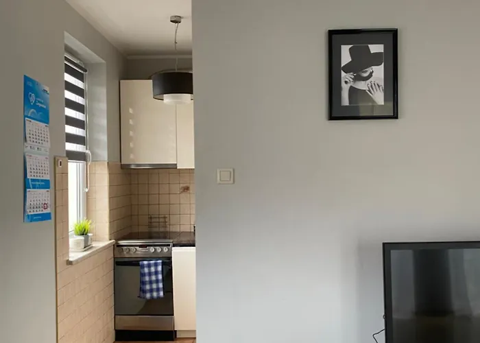 Апартаменты Duzy 51m2! 10 Minut Od Lotniska! Гданьск